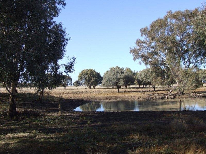 LOT 99 THURROWA ROAD, Coleambally, NSW 2707 Property Details