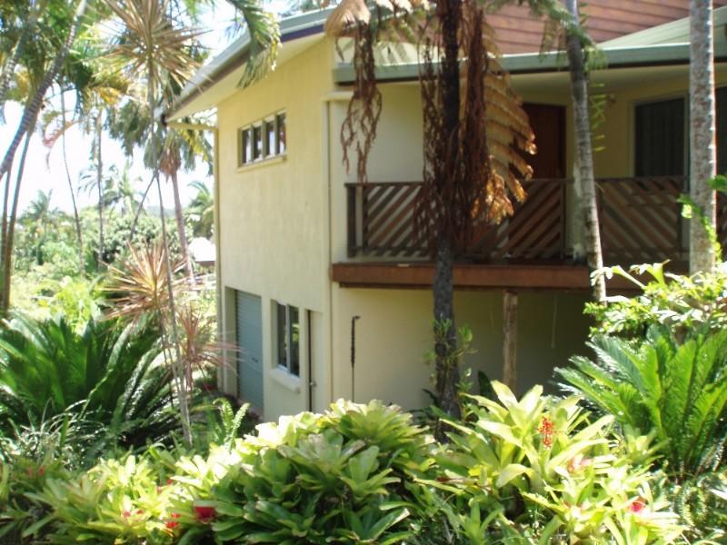 41 Cutten Street, Bingil Bay, QLD 4852