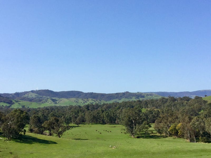 84 King Parrot Creek Road, Kerrisdale, VIC 3660