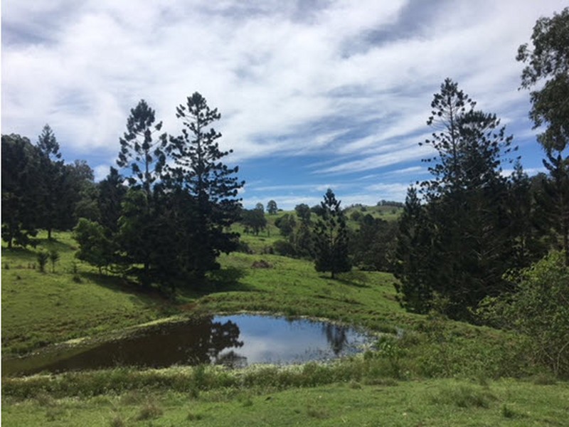 356 Quilty Road, Rock Valley, NSW 2480