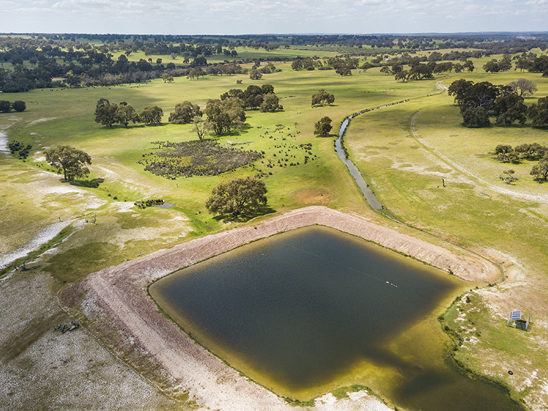 776 Red Gully Road, Red Gully, WA 6503