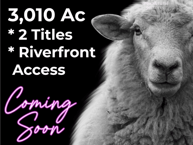 5621 Murraylands Road, Swan Reach, SA 5354 Mixed Farming for Sale