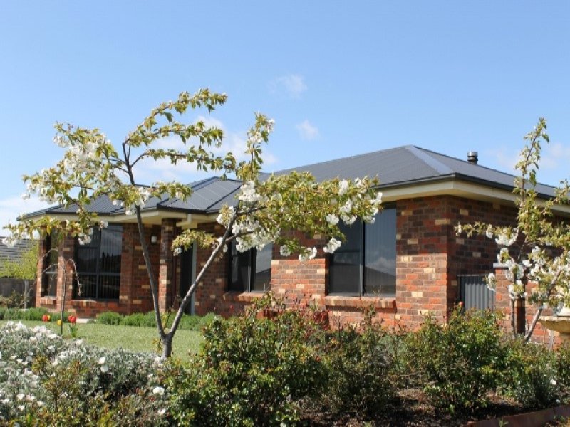 8 Barclay Drive, Scottsdale, Tas 7260 Property Details