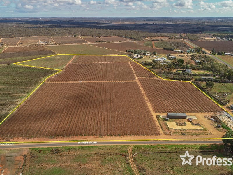 Real Estate & Property for Sale in Mildura Greater Region, VIC Pg. 12