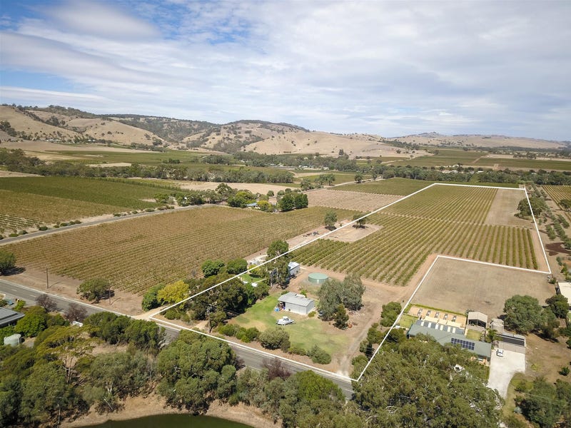 218 Basedow Road, Bethany, SA 5352 Viticulture/vineyard for Sale