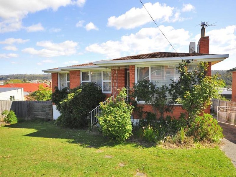 1 Wayne Place, Youngtown, Tas 7249 Property Details