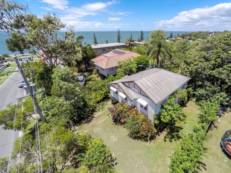 Pest control in Margate