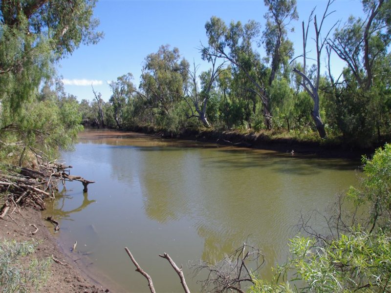 264 Myalla Lane, Wee Waa, NSW 2388 Livestock for Sale