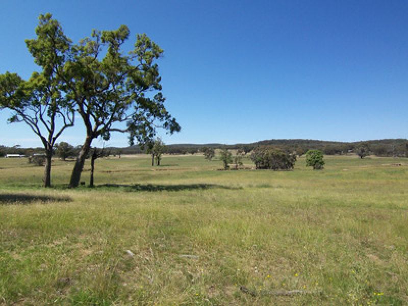 1392 Spring Ridge Road, Tallawang, NSW 2852