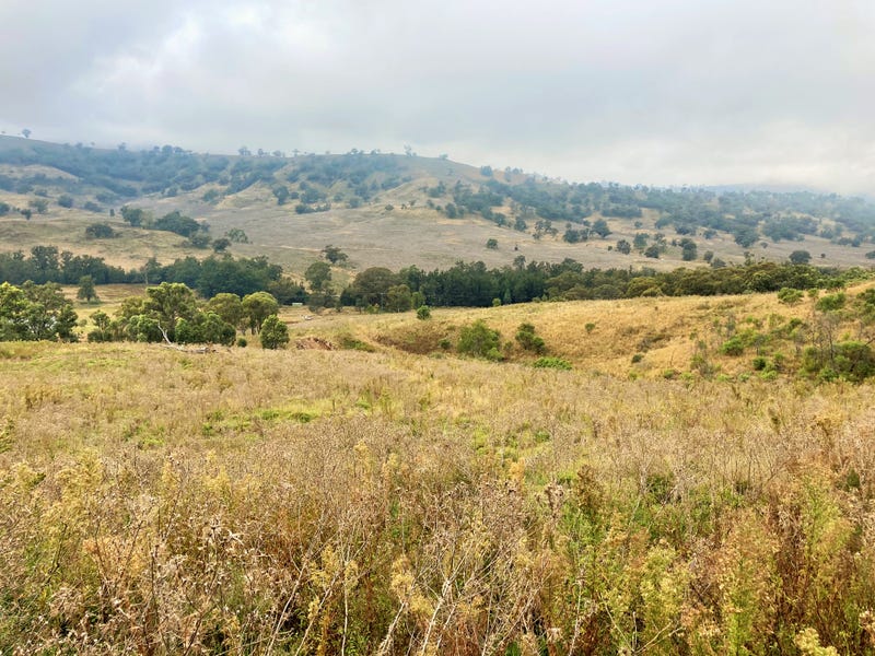 2229 PEMBROKE ROAD, Cassilis, NSW 2329 Lifestyle for Sale