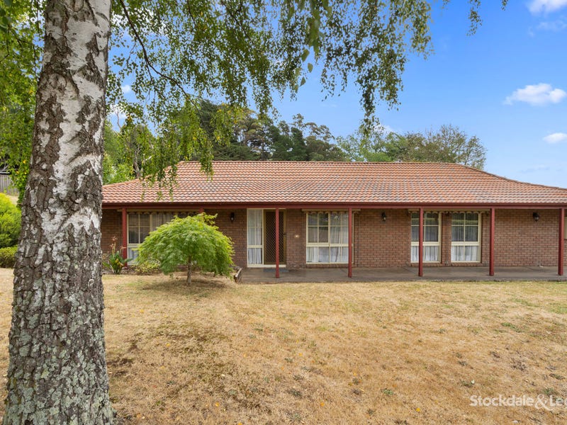 25 Le Souef Road Gembrook Vic 3783 Realestatecomau - 