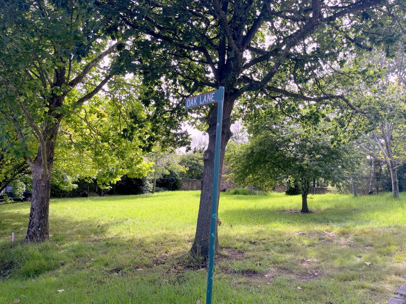 Real Estate & Property for Sale in Woodlands, NSW 2575 Pg. 17