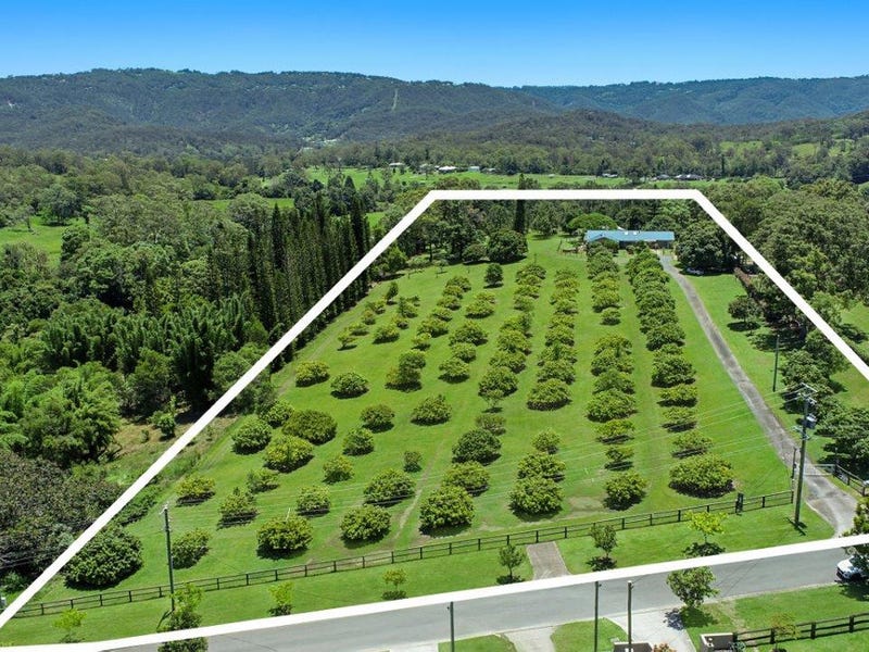 21 Darwalla Road, Mount Nathan, QLD 4211