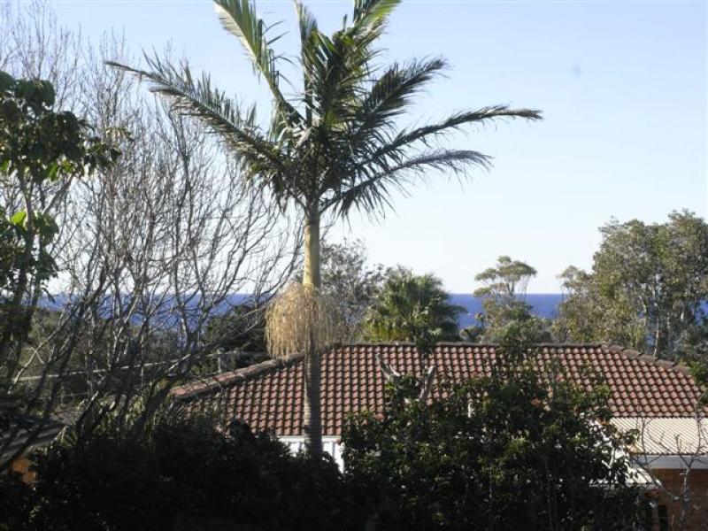 62 Riverside Drive, Kiama Downs, NSW 2533