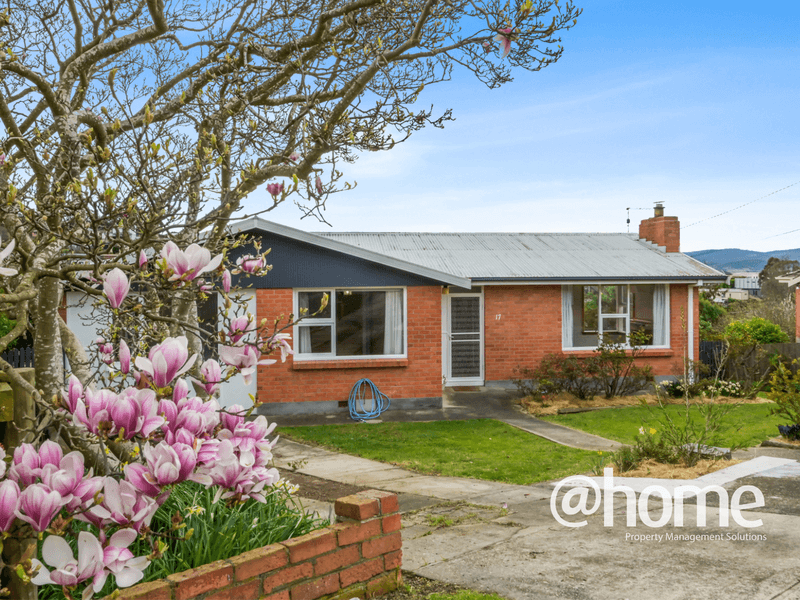 17 Benjamin Street, Trevallyn, TAS 7250