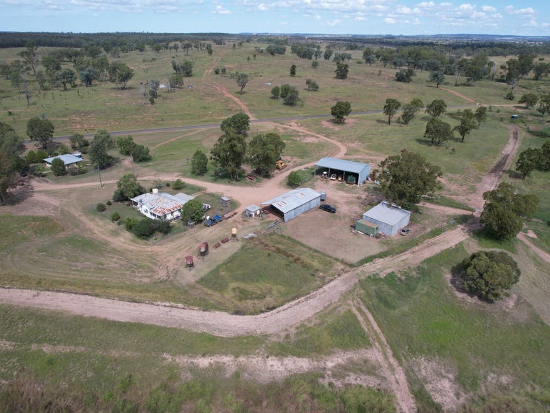 " Sundown ", Wandoan, Qld 4419 Livestock for Sale
