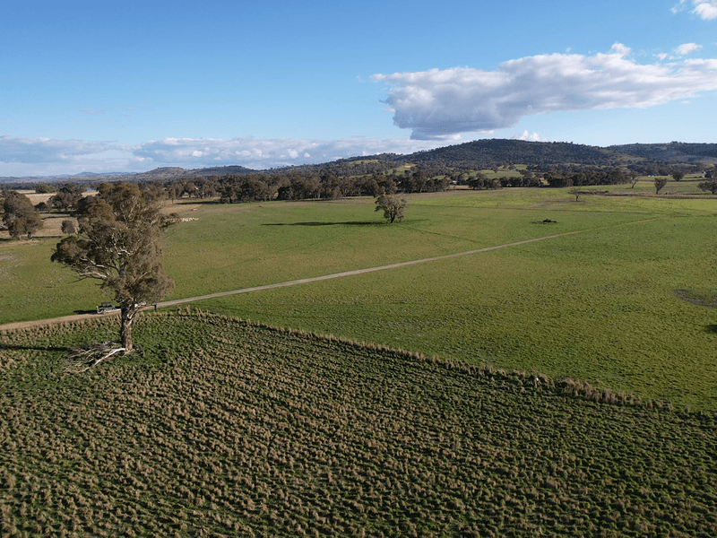 5413 Muttama Road, Cootamundra, NSW 2590 Lifestyle for Sale