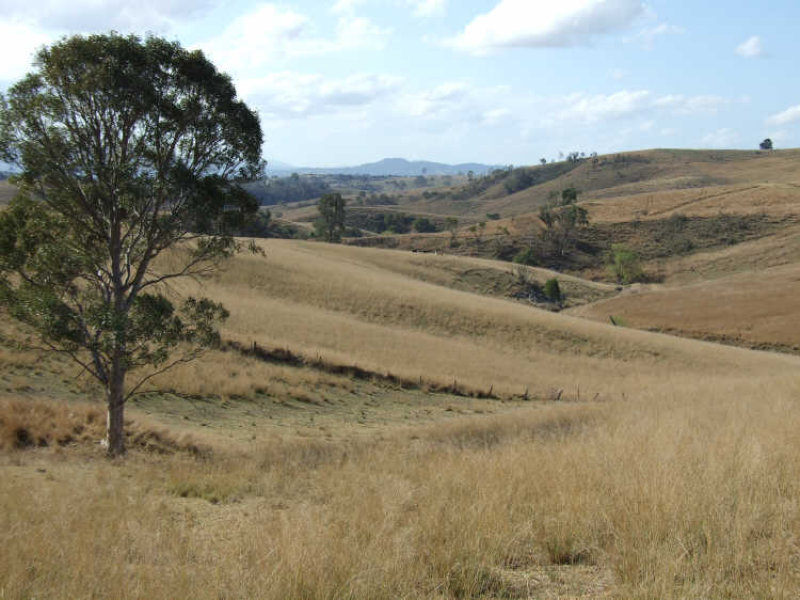 1261 Myrtle Mountain Road, Myrtle Mountain, NSW 2550