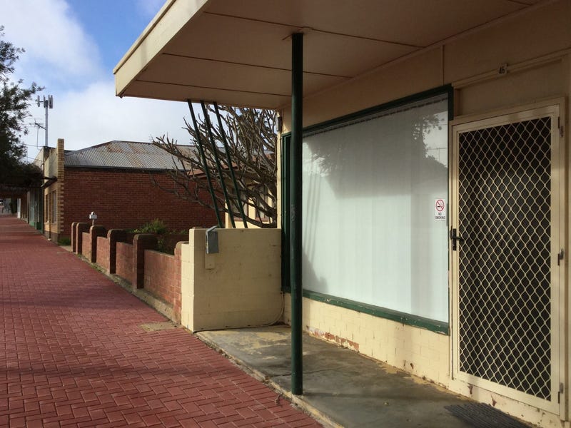 46 Elizabeth Street, Maitland, SA 5573