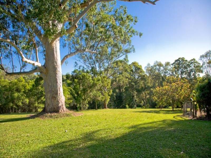 894 Eumundi Noosa Road, Doonan, Qld 4562 Property Details