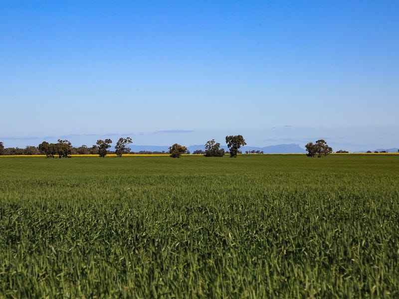 4848 StawellWarracknabeal Road, Rupanyup, Vic 3388 Property Details