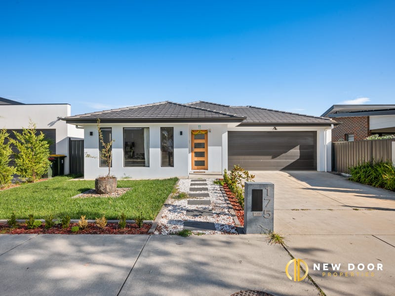 175 Bettong Avenue, Throsby, ACT 2914 House for Sale