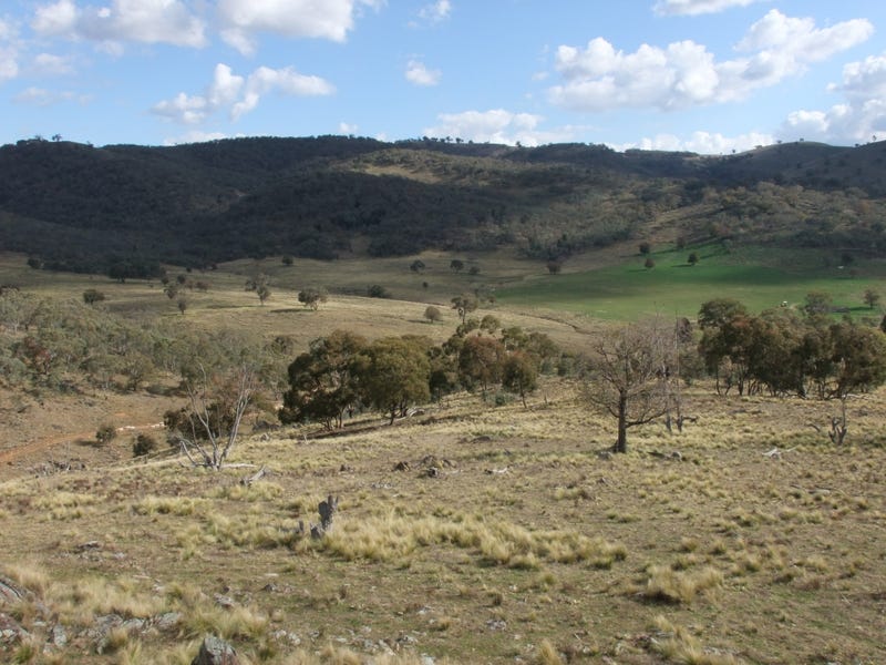 2661 The Bridle Track, Killongbutta, NSW 2795