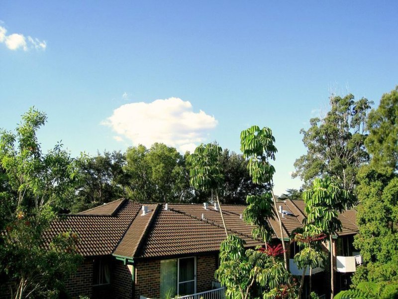 79 Park Avenue, Waitara, NSW 2077