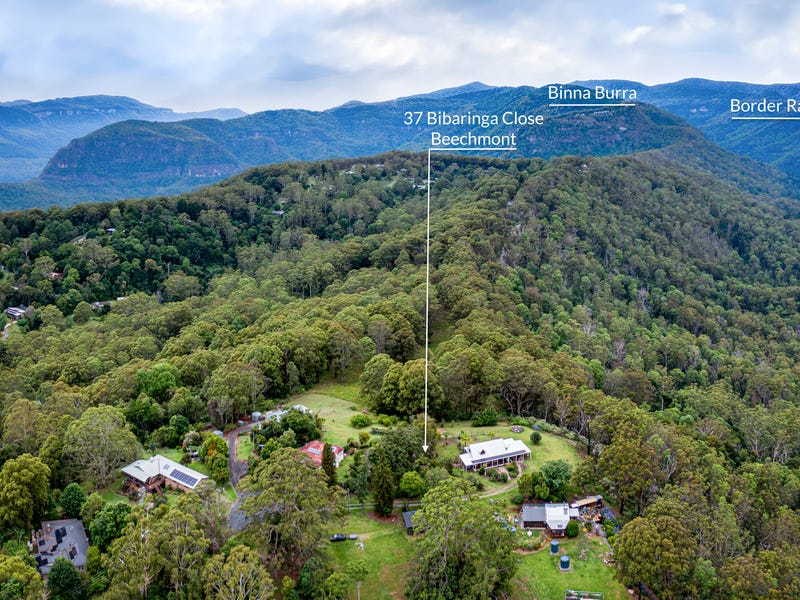 37 Bibaringa Close, Beechmont, Qld 4211 Property Details