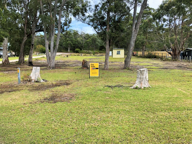 51 North Ansons Road, Ansons Bay, TAS 7264