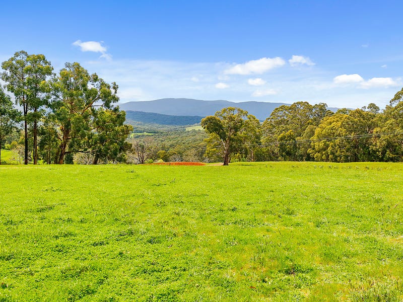 785 Gembrooklaunching Place Road, Hoddles Creek, VIC 3139 realestate