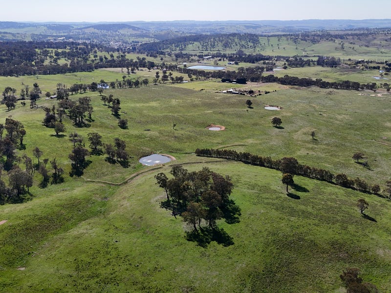 160 Aberbaldie Road, Walcha, NSW 2354 Lifestyle for Sale realestate