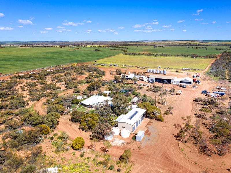 2451 MullewaWubin Road, Mullewa, WA 6630 Other for Sale realestate