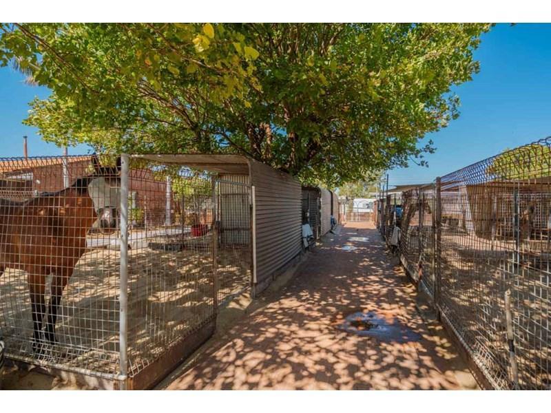 3 Kalgoorlie Street, Ascot, WA 6104 Property Details