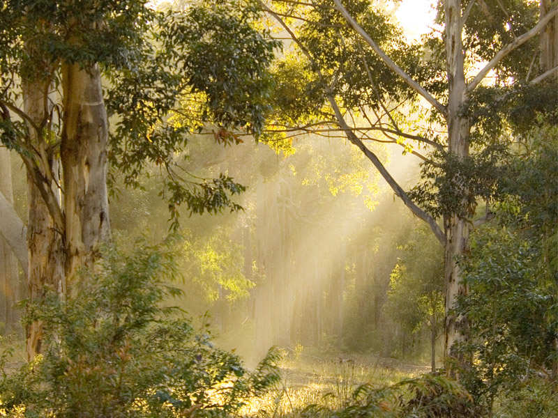 34 Burke Circle, Cowaramup, WA 6284