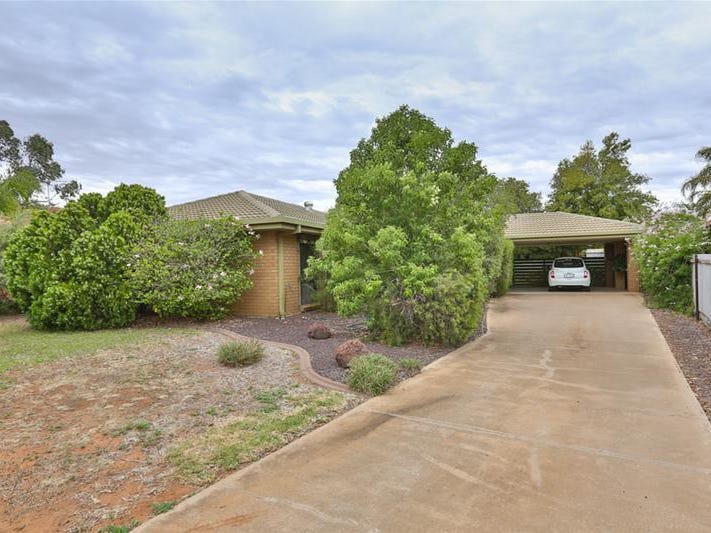 48 Teal Drive, Mildura, Vic 3500 Property Details