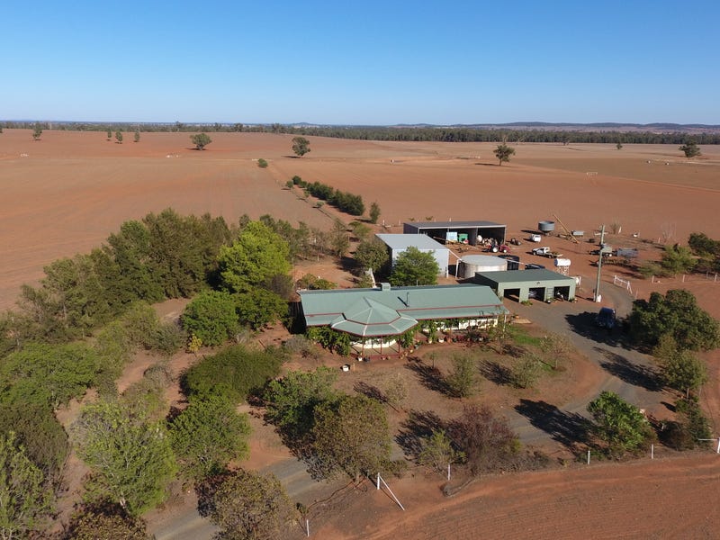 Rural properties for Sale in Grenfell, NSW 2810 - realestate.com.au