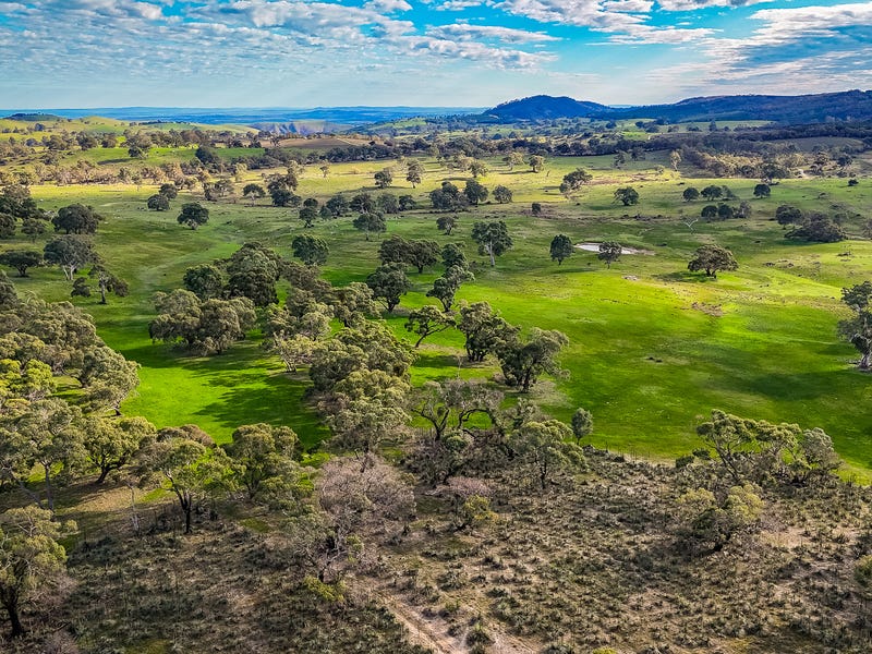 Real Estate & Property for Sale in Towitta, SA 5353 (+2 locations) Pg. 2