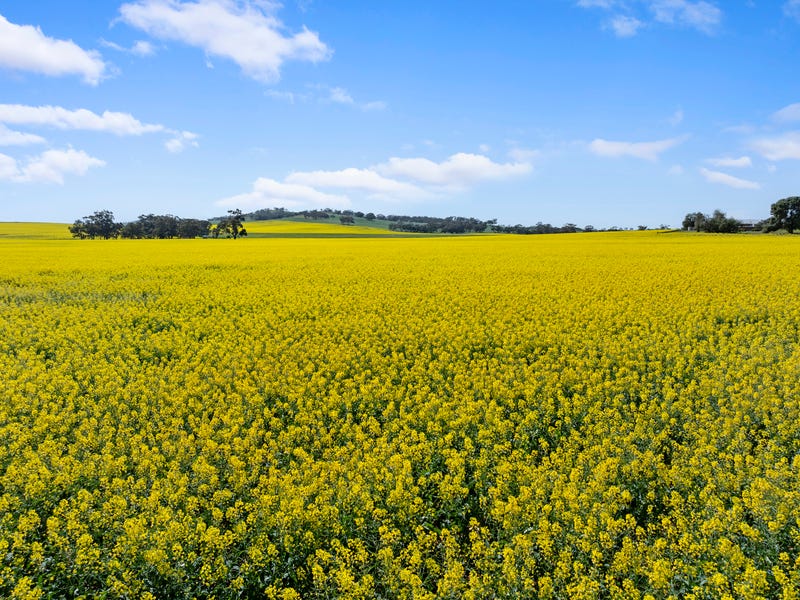 Real Estate & Property for Sale in SA Pg. 6