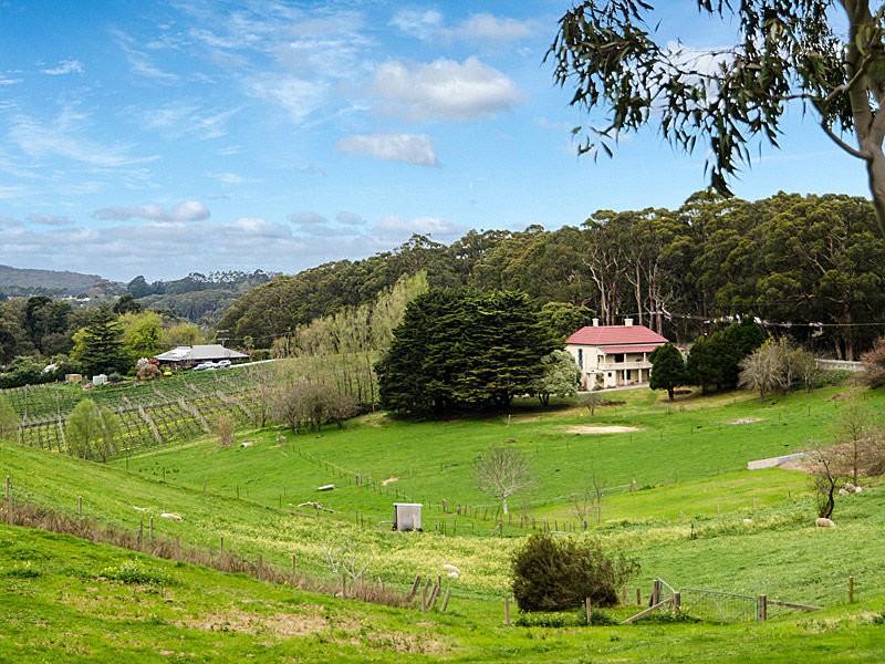 1035 Greenhill Road, Summertown, SA 5141 Property Details