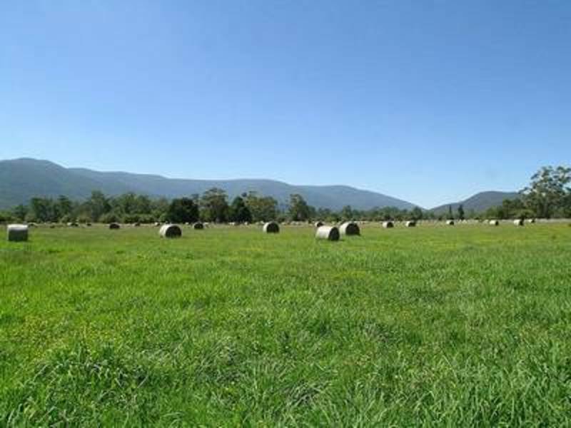305 Settlement Road, Yarra Junction, VIC 3797