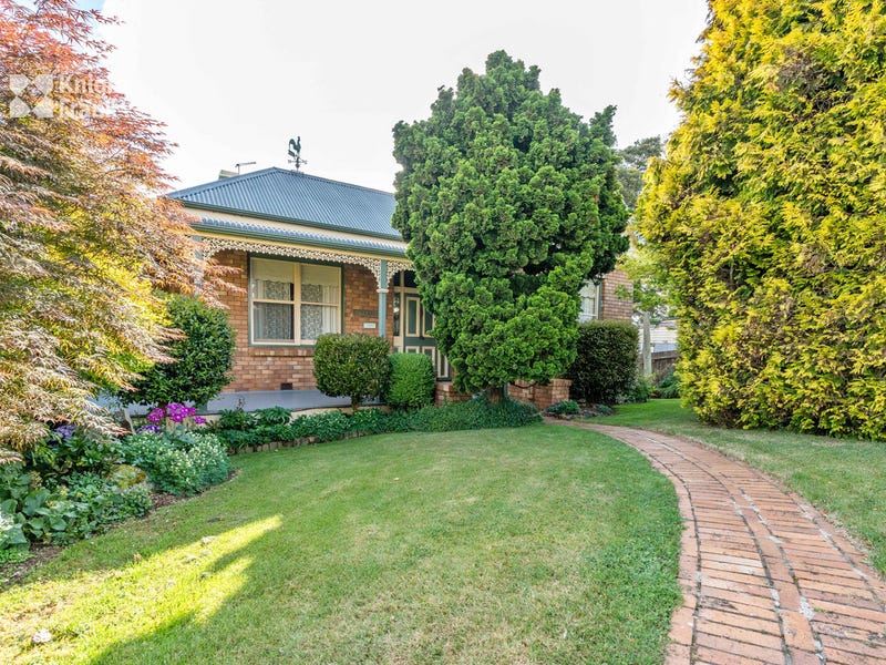 12 Alfred Street, Scottsdale, Tas 7260 Property Details