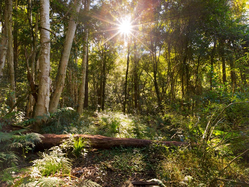 Lots 1 4 Jamberoo Mountain Road, Jamberoo, NSW 2533 Property Details