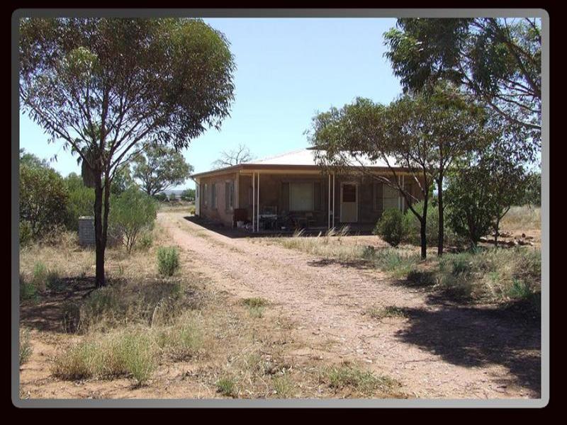 561 Muster Drive, Napperby, SA 5540 Property Details