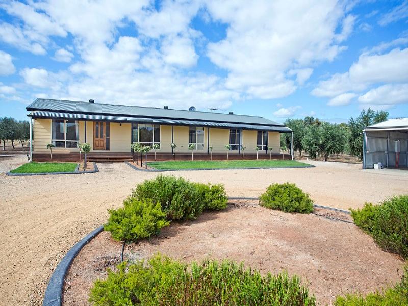 196 Hayman Road, Lewiston, SA 5501 Property Details