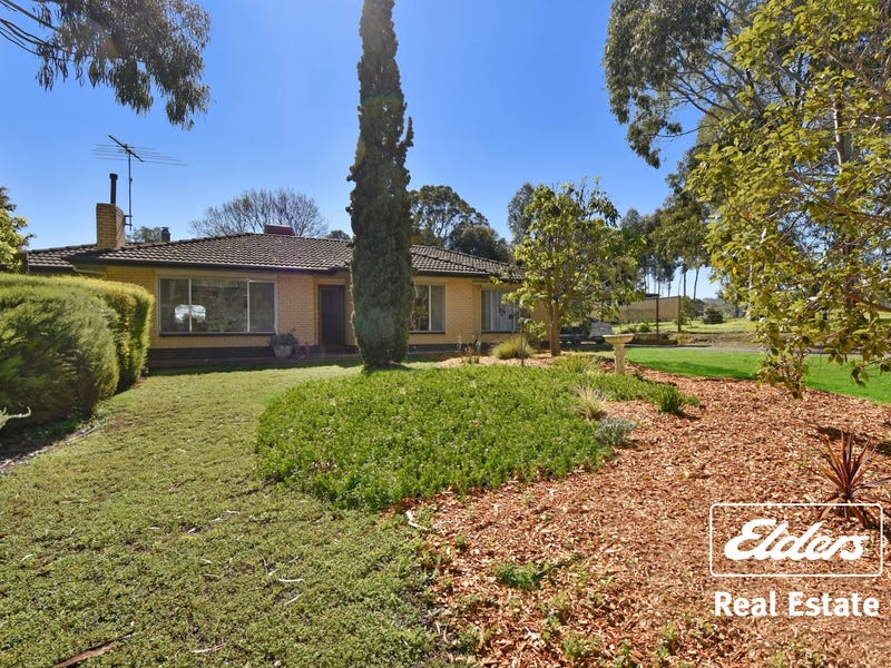 29 South Terrace, Williamstown, SA 5351