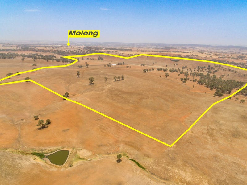 Property 700070730, Molong, NSW 2866 Property Details