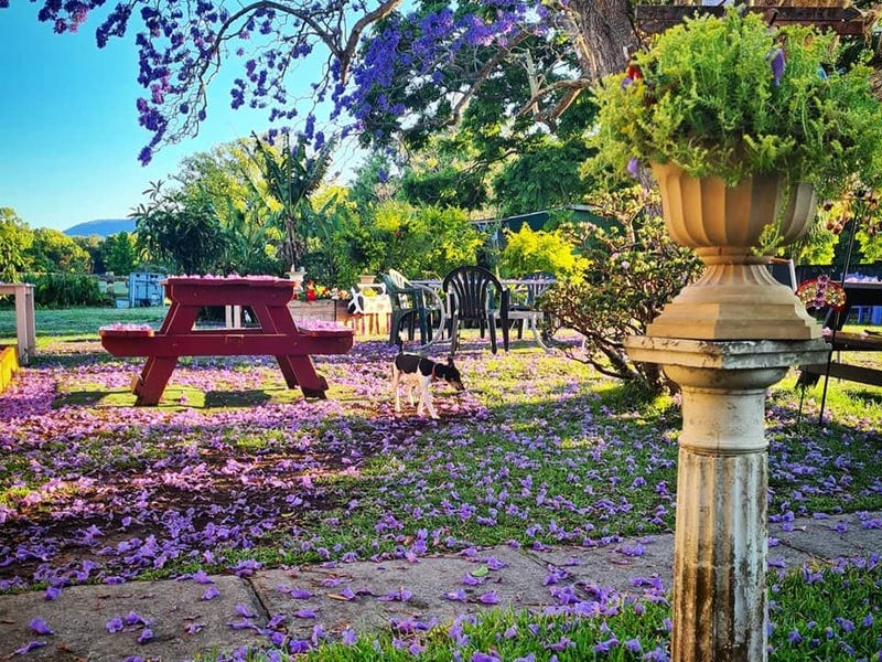 34 HANNAM VALE ROAD, Moorland, NSW 2443 House for Sale realestate