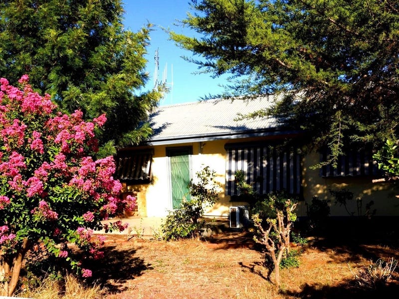 293 Murray Street, Finley, NSW 2713 Property Details