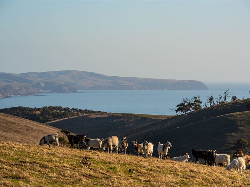 Lot 2 Forktree Rd, Carrickalinga, SA 5204 Property Details